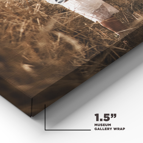 Canvas Wrap